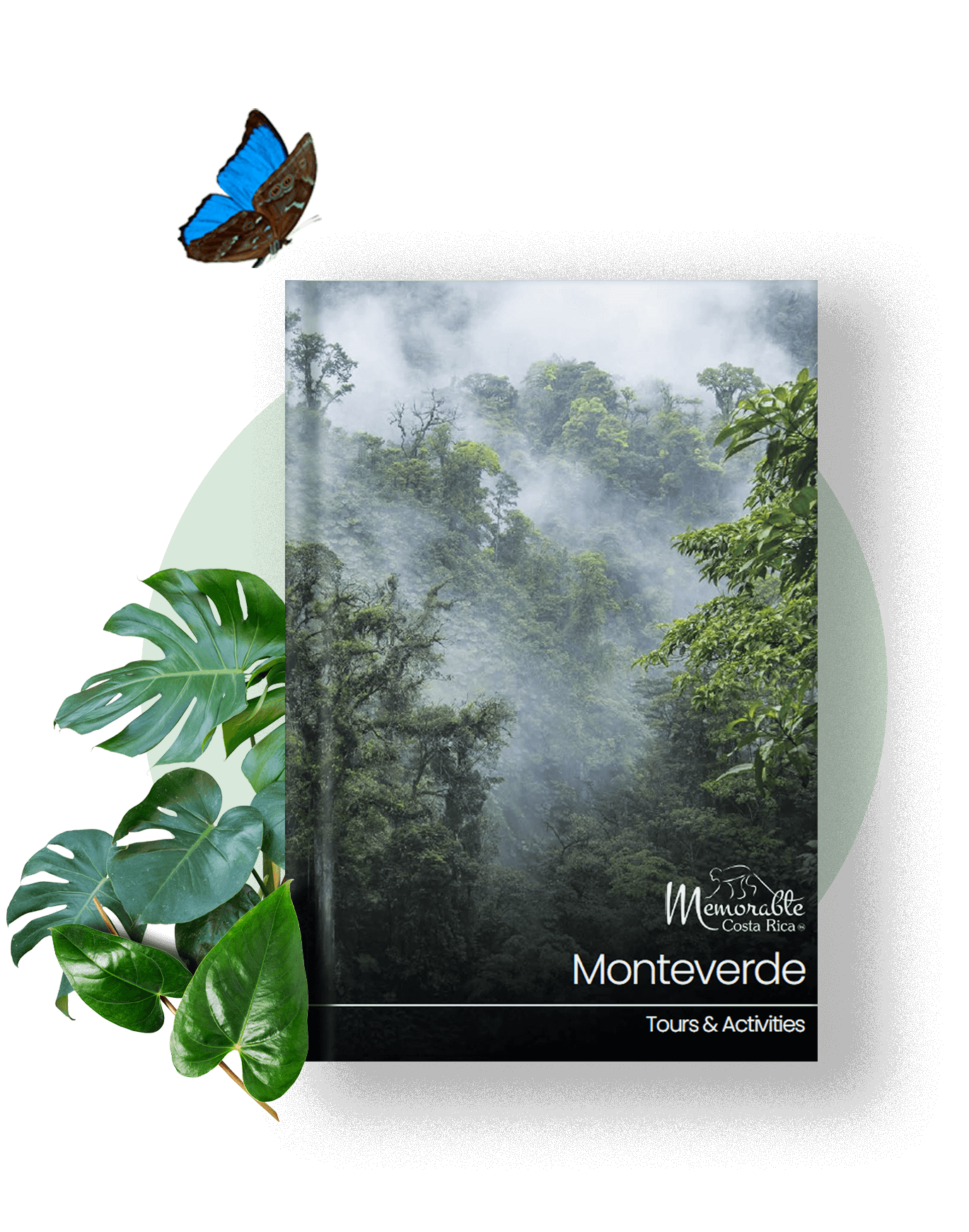 monteverde-tours